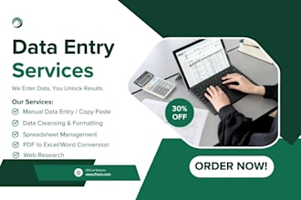 do data entry, excel entry, PDF conversion, web research