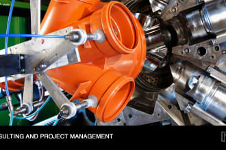 do consulting and project managment