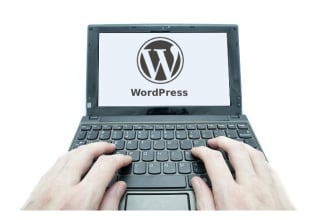 help you with your wordpress site