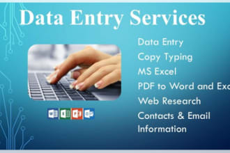 provide you the most accurate and swift data entry works