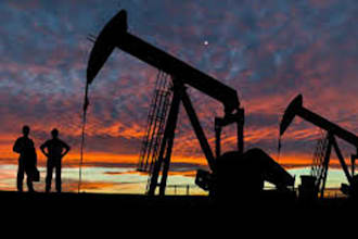 do task related to petroleum  engineering