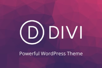 customize divi theme and design wordpress websites