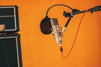 professional voiceovers for youtube audiobooks and explainers