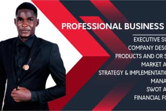 write a professional business plan, proposal, for startups,investors