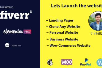 do professional responsive wordpress website using elementor