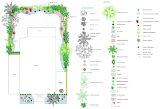 draw a planting plan