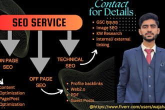 provide complete monthly seo service with quality backlinks