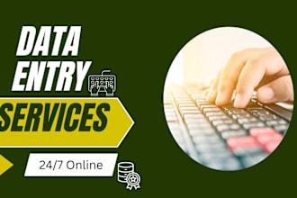 do the fastest and most accurate data entry and retyping job