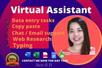 be your virtual assistant for admin, typing, copy paste, excel and data entry