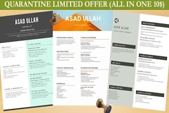 provide a professional CV, resume writing service