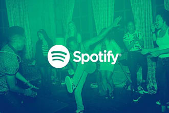 do organic ep, album and spotify promotion for you track
