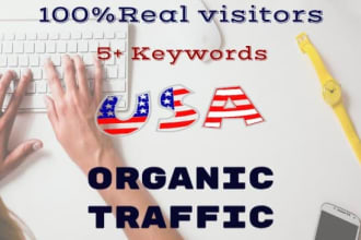 provide USA germany brazil  turkey europe organic traffic