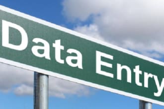 do excellent data entry, web research and copy paste