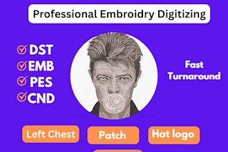 do professional embroidery digitizing in hours