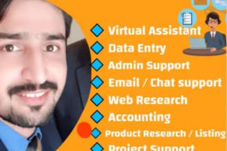 be your virtual assistant,admin support