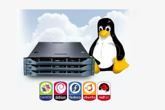 configure any linux server, service or fix any bug