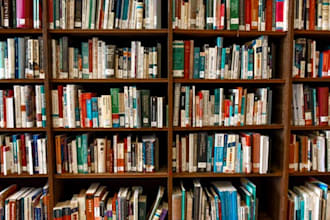 beta read your book