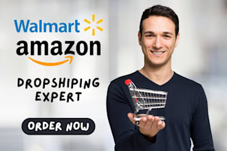 be manage your walmart dropshipping and wfs business
