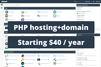 provide you cheap PHP hosting with custom domain