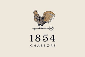 design sophisticated logo in 1 day