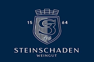 design steinschaden logo in 1 day