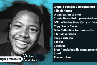 be a virtual assistant and data analyst with excel
