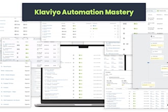 setup a complete 15 flow automation system in klaviyo in 24 hours