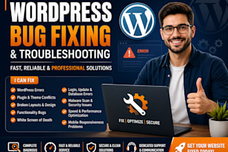 remove bugs of wordpress website