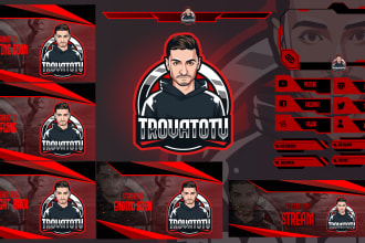 craft professional twitch logo, screens, overlays and panels