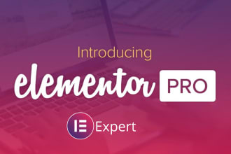 be your affordable elementor pro expert