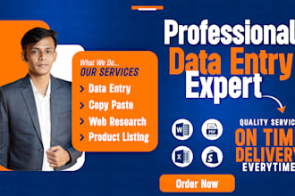 do data entry, web research, copy paste, product listing, pdf to word