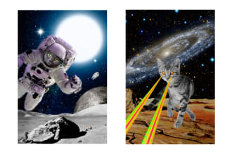 design a crazy space cat art