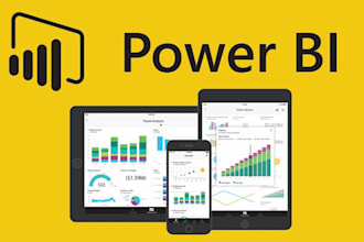 create professional power bi reports and dashboards