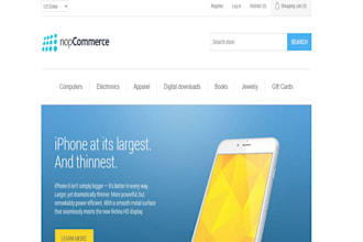 setup your online store in shopify, nopcommerce, woocommerce