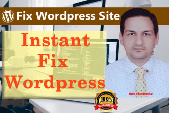 fix wordpress website errors
