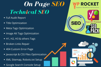 do professional site audit, indepth onpage SEO, google 1st page