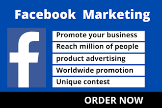 promote and advertise any business by social media marketing