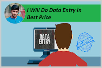 do data entry and fast data entry for you