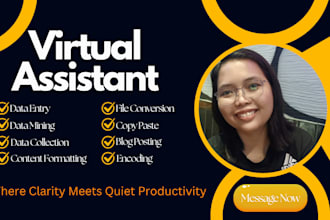 do accurate data entry, web research, typing work for you