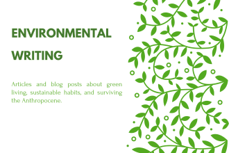 write articles and blog posts about sustainable living