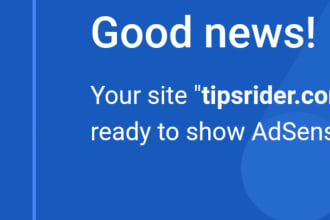 design professional an adsense approval niche website