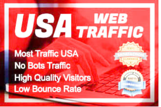 provide real organic website traffic  for 30 days