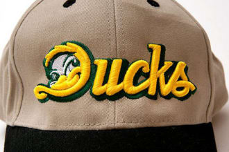 do fantastic embroidery digitizing into dst pes emb into 1 hour