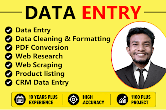 be your virtual assistant for data entry, data mining, copy paste, web research