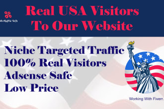 bring USA targeted daily real visitors to your website