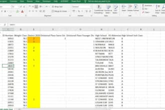do fastest data entry and typing work