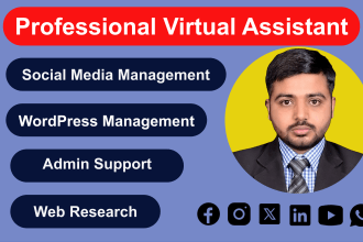 be your personal virtual assistant for data entry and web research