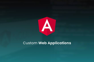 do web application software development using angular
