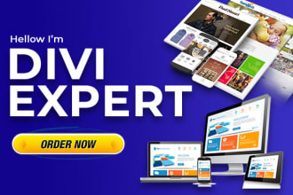 design stunning wordpress website with divi theme and divi builder