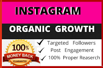 professionally promote and grow your instagram